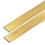 Listwa Kompozytowa Prosta Premium Dąb Miodowy 70x10 mm – dł. 2,9 m